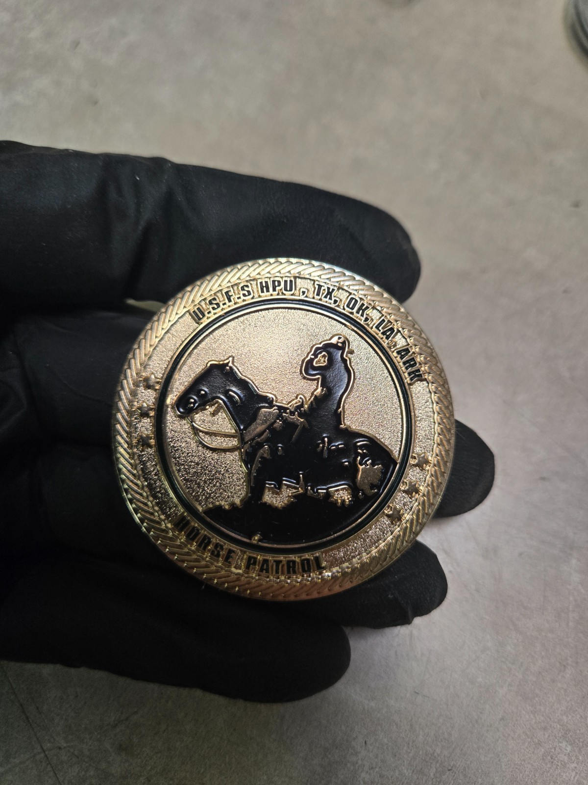 Forest Service Law Enforcement Horse Patrol Challenge Coin Rare!