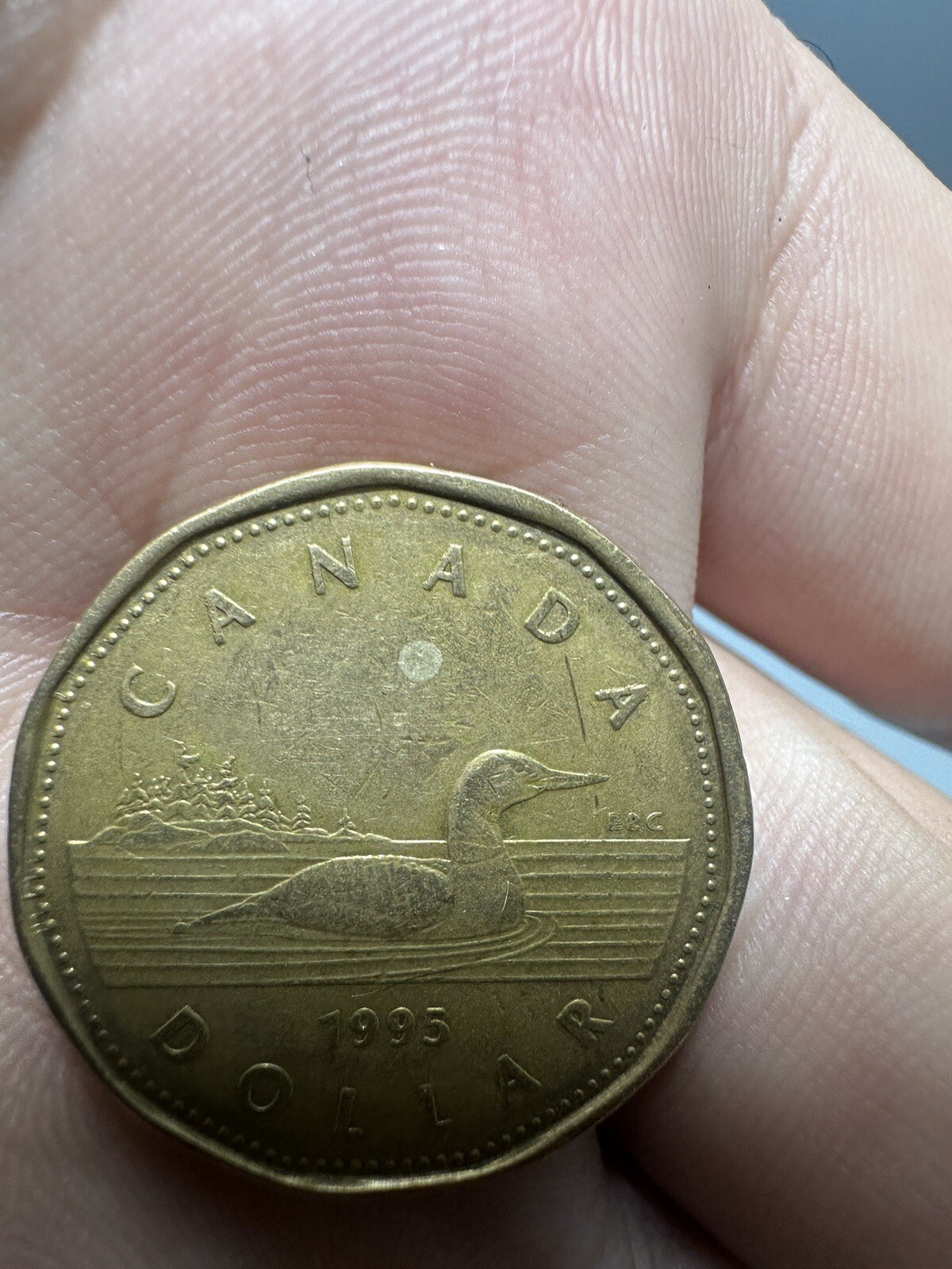 CANADA 1995 1 DOLLAR, LOON LOONIE, UNC Elizabeth ||