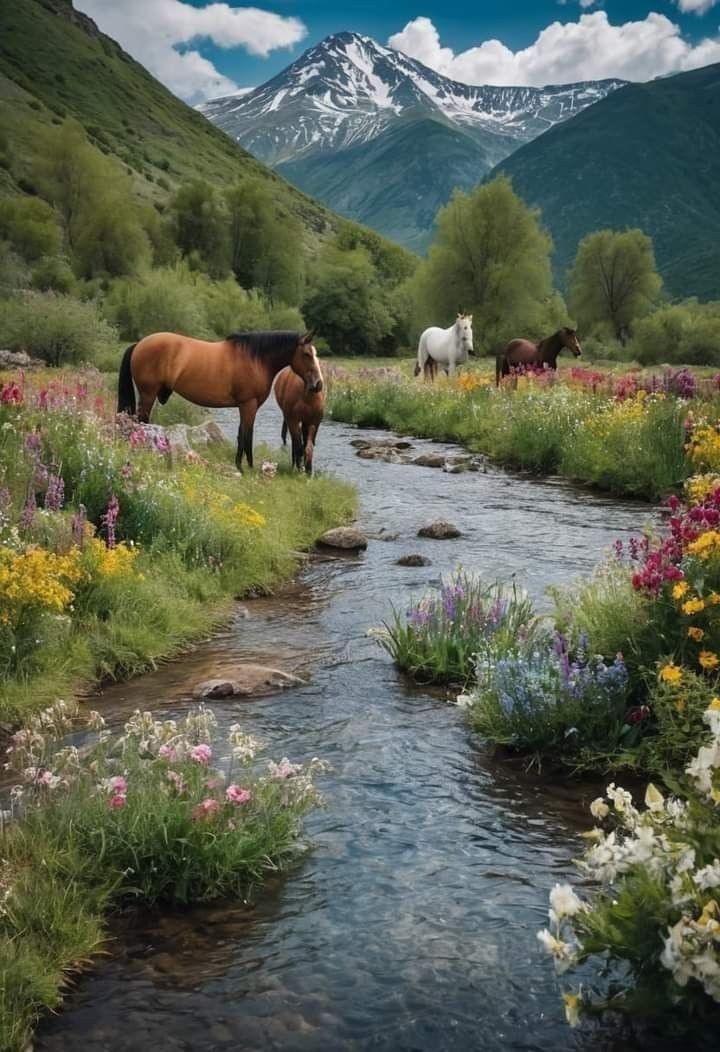 Digital Image Picture Wallpaper Background Desktop Horses @ Stream Nature! $0.99