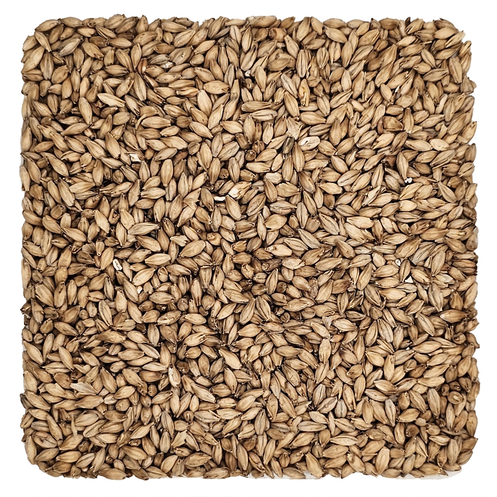 Home Brew Ohio 6-Row Grain 5lb