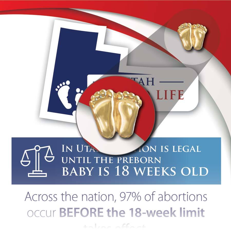 Precious Feet, Gold-Colored, Utah Stats Card Jewelry, Lapel Pin