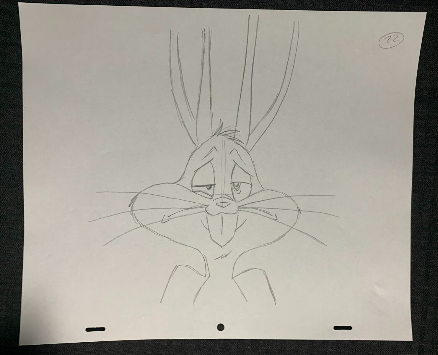 BUGS BUNNY 12.5x10.5" Animation Pencil Drawing FVF 7.0 #22