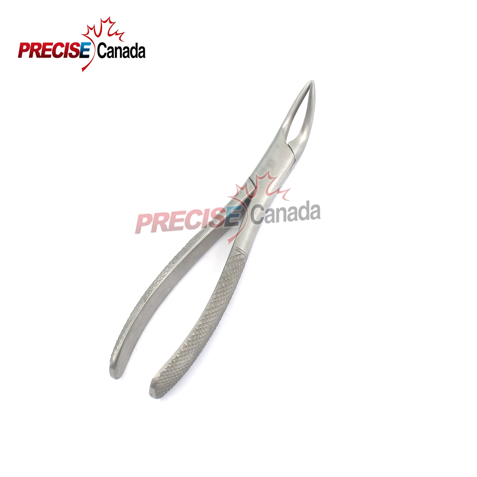 Dental Extracting Forceps English Part Figure 301 Lower Roots Instrument