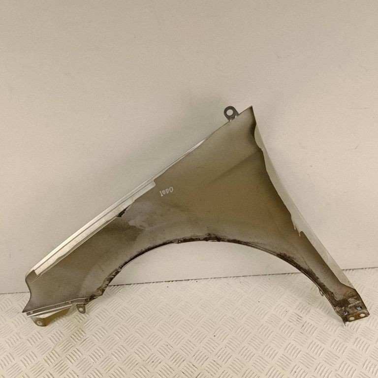 Hyundai Ioniq Mudguards T8S