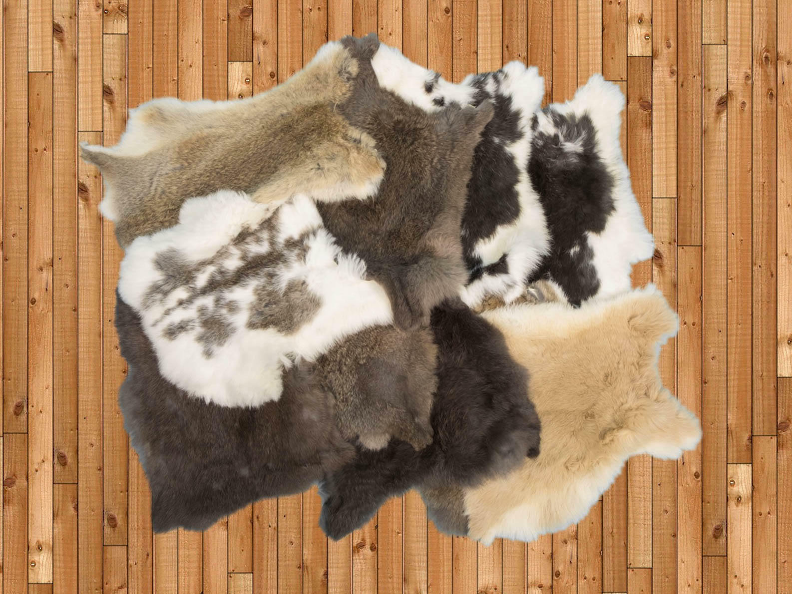 Lot of 10 Poubelle Rabbit Skins: Mixed Natural Colors (188-06N) Y1K