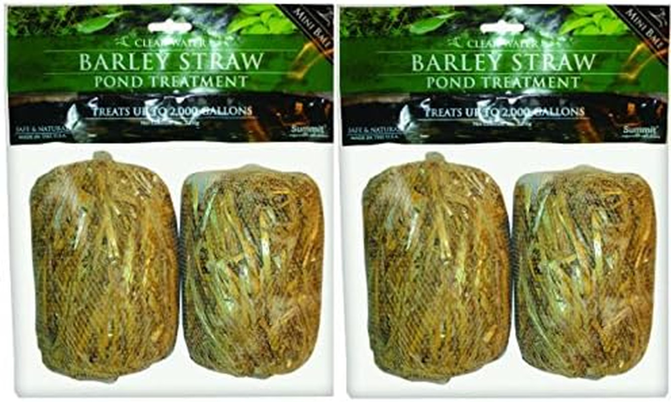 125 Clear-Water Barley Straw Bales, Treats up to 1000-Gallon, 2 Packs of 2-4 Tot