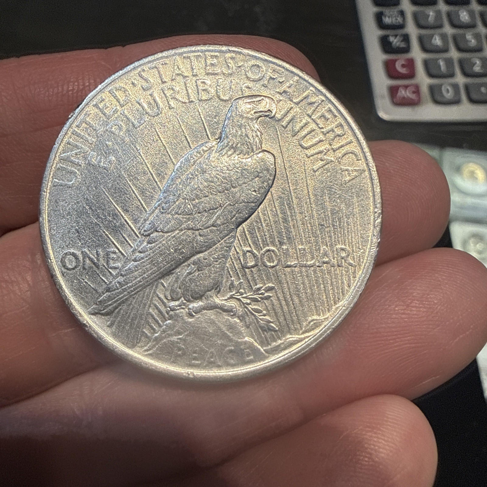 Lot Of 5 Peace Dollars
