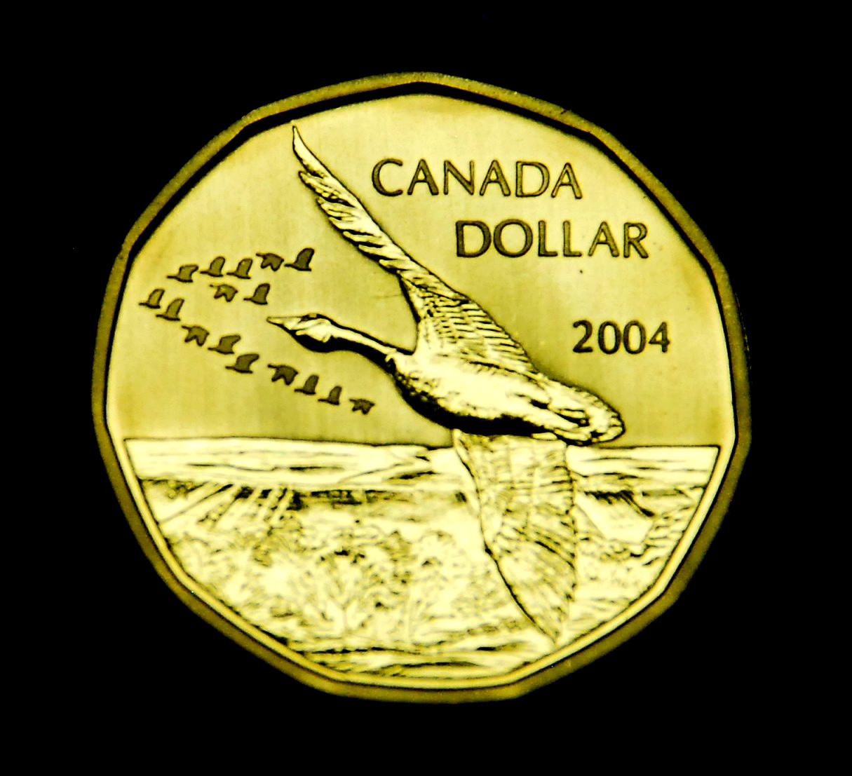 2004 Canada Flying Lesser Goose Specimen Loonie uncirculated