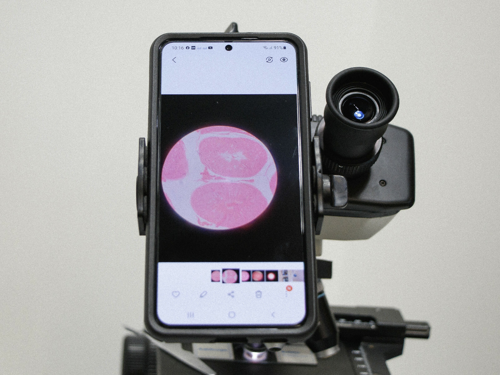 Microscope Eyepiece Camera Adapter for Smartphone & iPhone + 10x 20mm Oculars