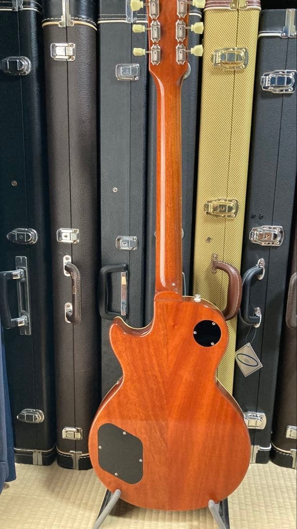 Bacchus Bls-Fm2 Around 2017 Order Model