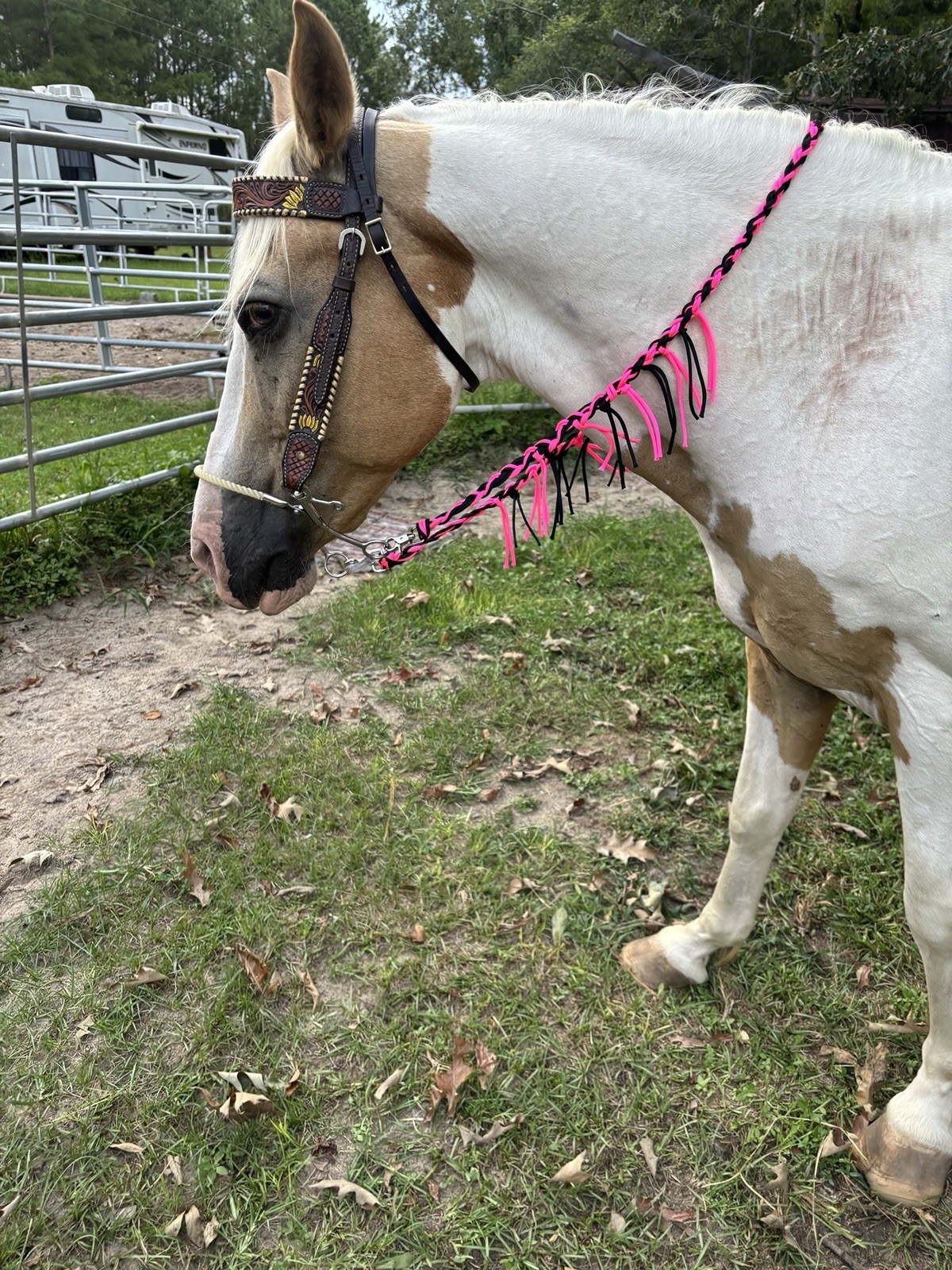 Fringe Pony Barrel Reins. 5ft