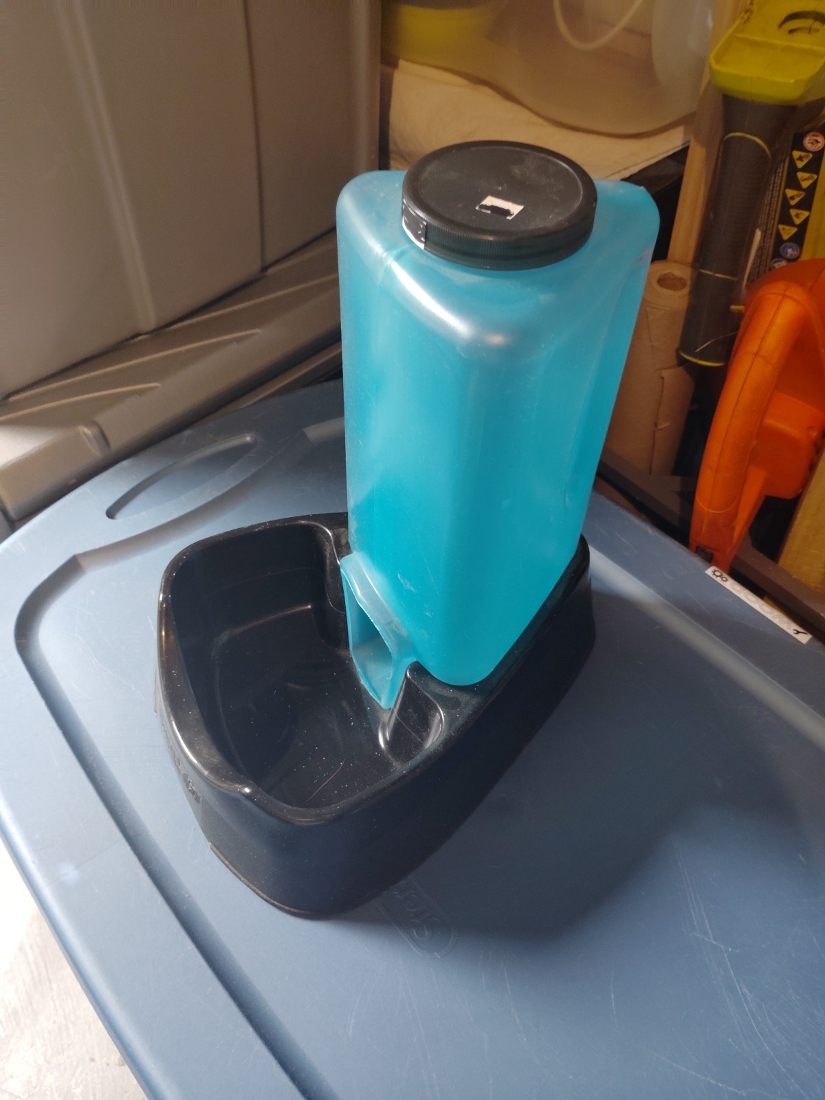 Pet Auto Feeding Dish