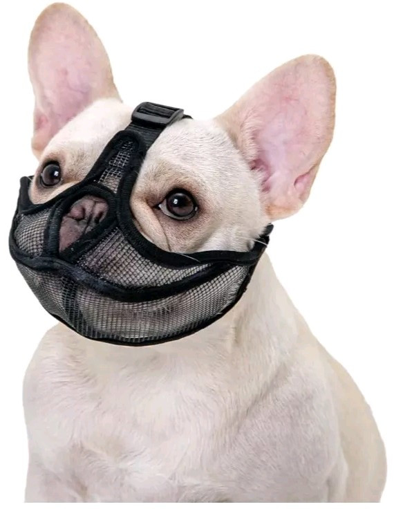 Short Snout Dog Muzzle with Soft Mesh Won’t Cover Eyes Bulldog Size XL