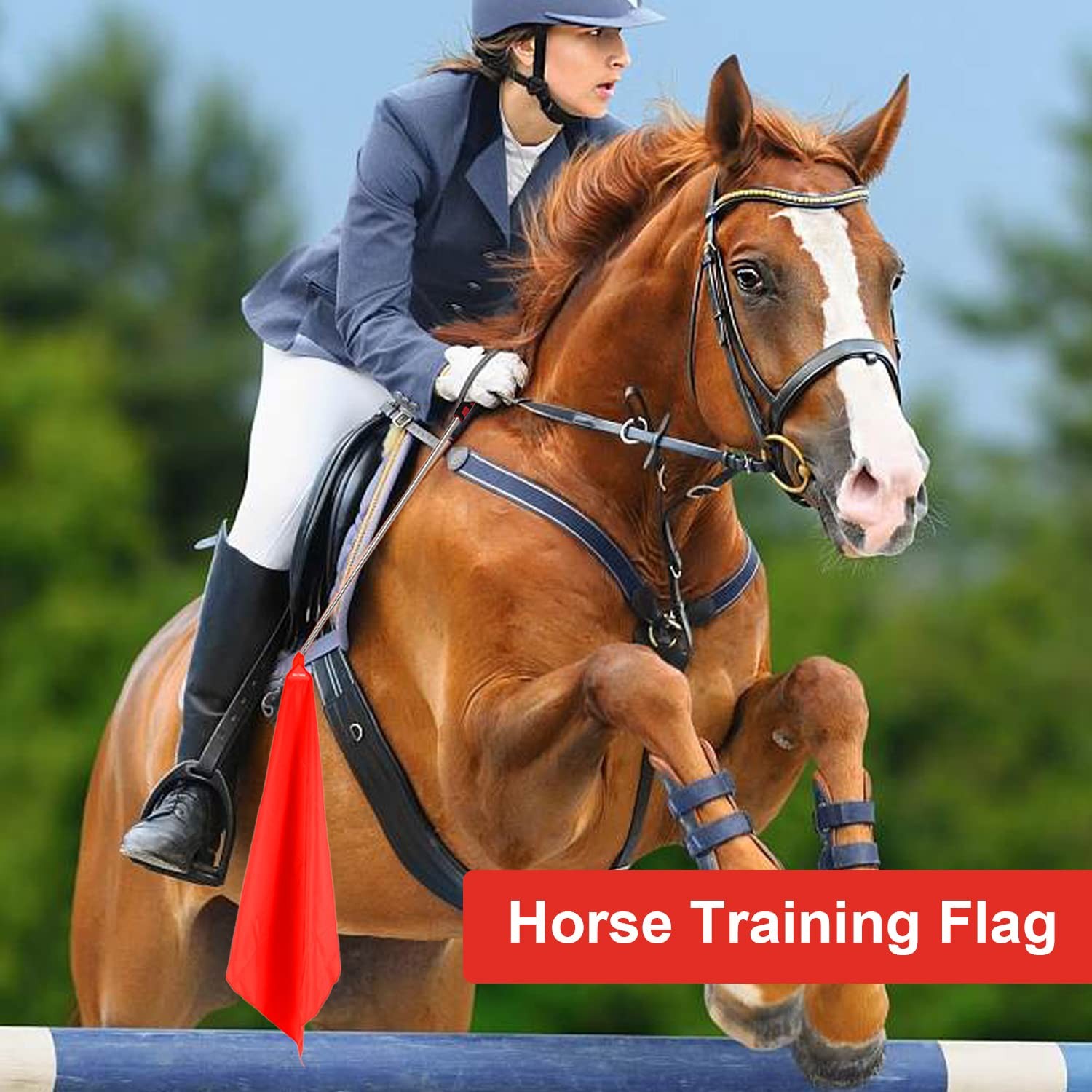 GAITWIN Horse Training Flag Equipment 5 Pcs with 1Pcs Telescopic Multiple
