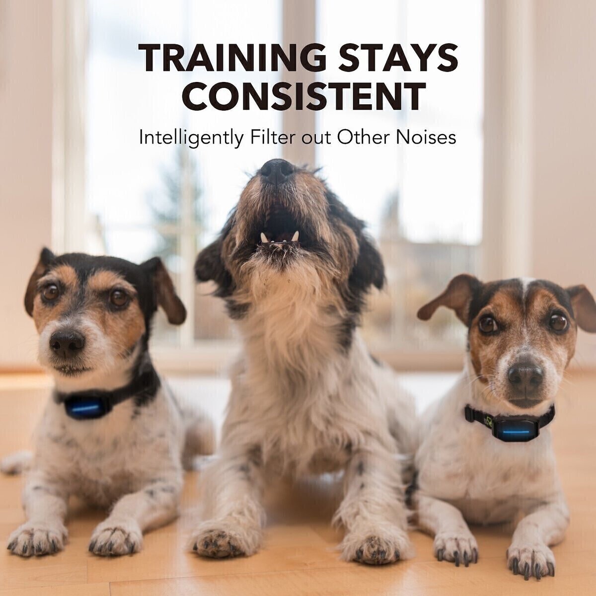 2Pcs Dog Bark Control Shock Collar Two Safe Training Modes for Pets Rechargeable