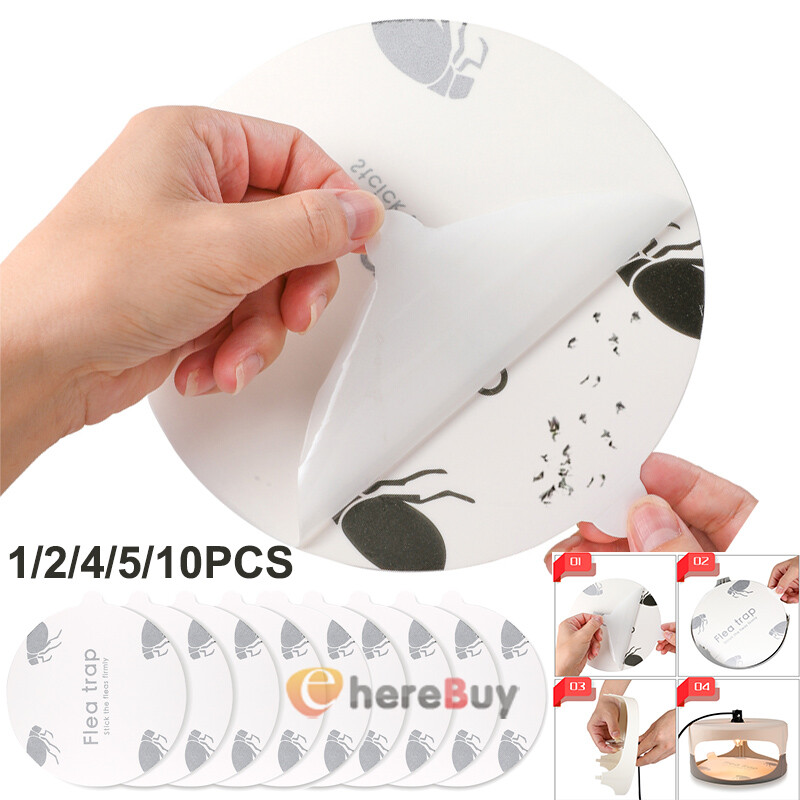 1~10X Disposable Flea Trap Sticker Sticky Dome Flea Trap Refill Flea Glue Discs