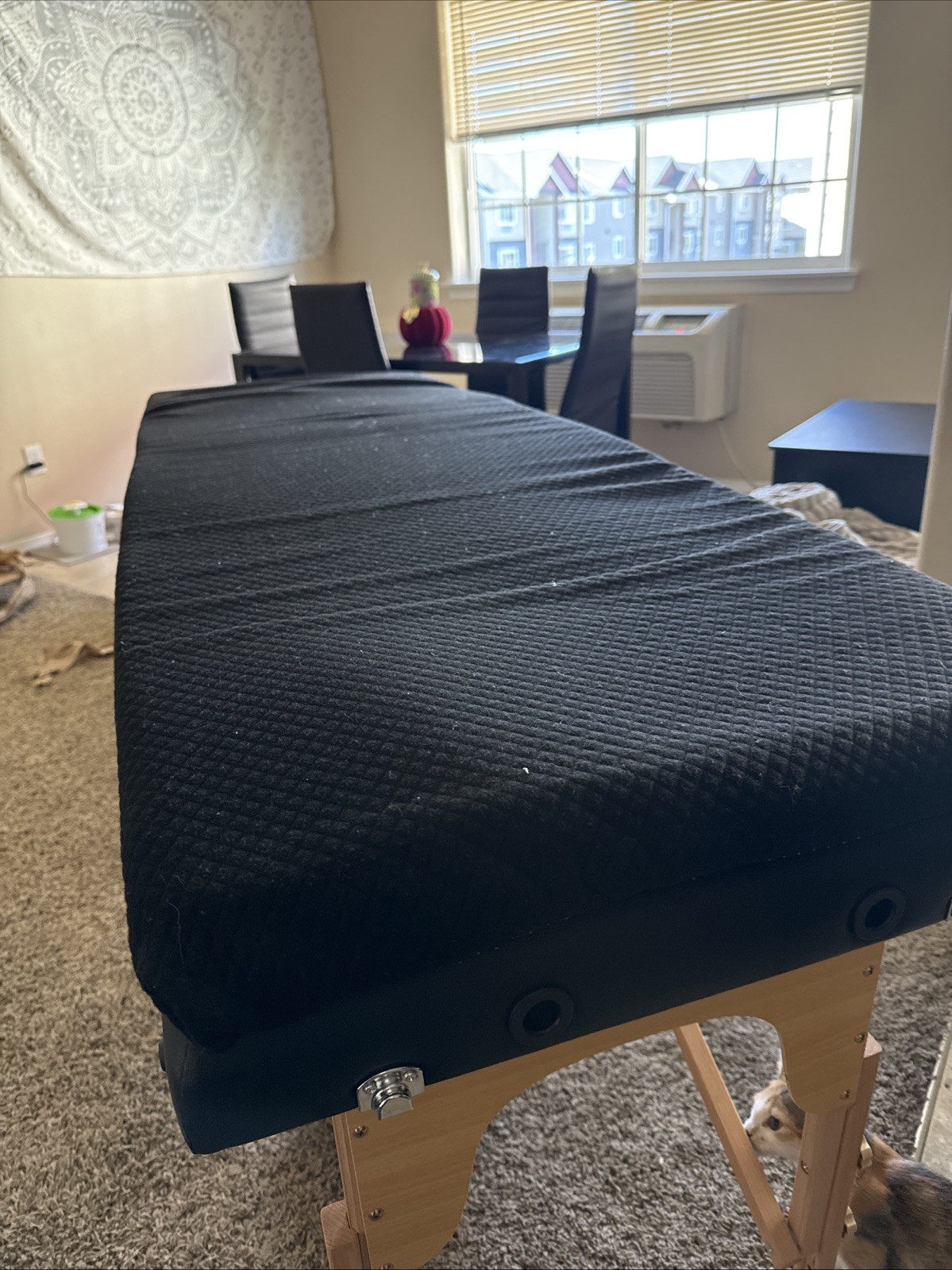 Memory Foam Esthetician Chair for Massage Spa Beauty Salon