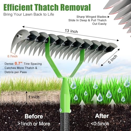 Thatch Rake for Lawn with 70" Long Handle,13" Wide Dethatcher Rake for 5ft