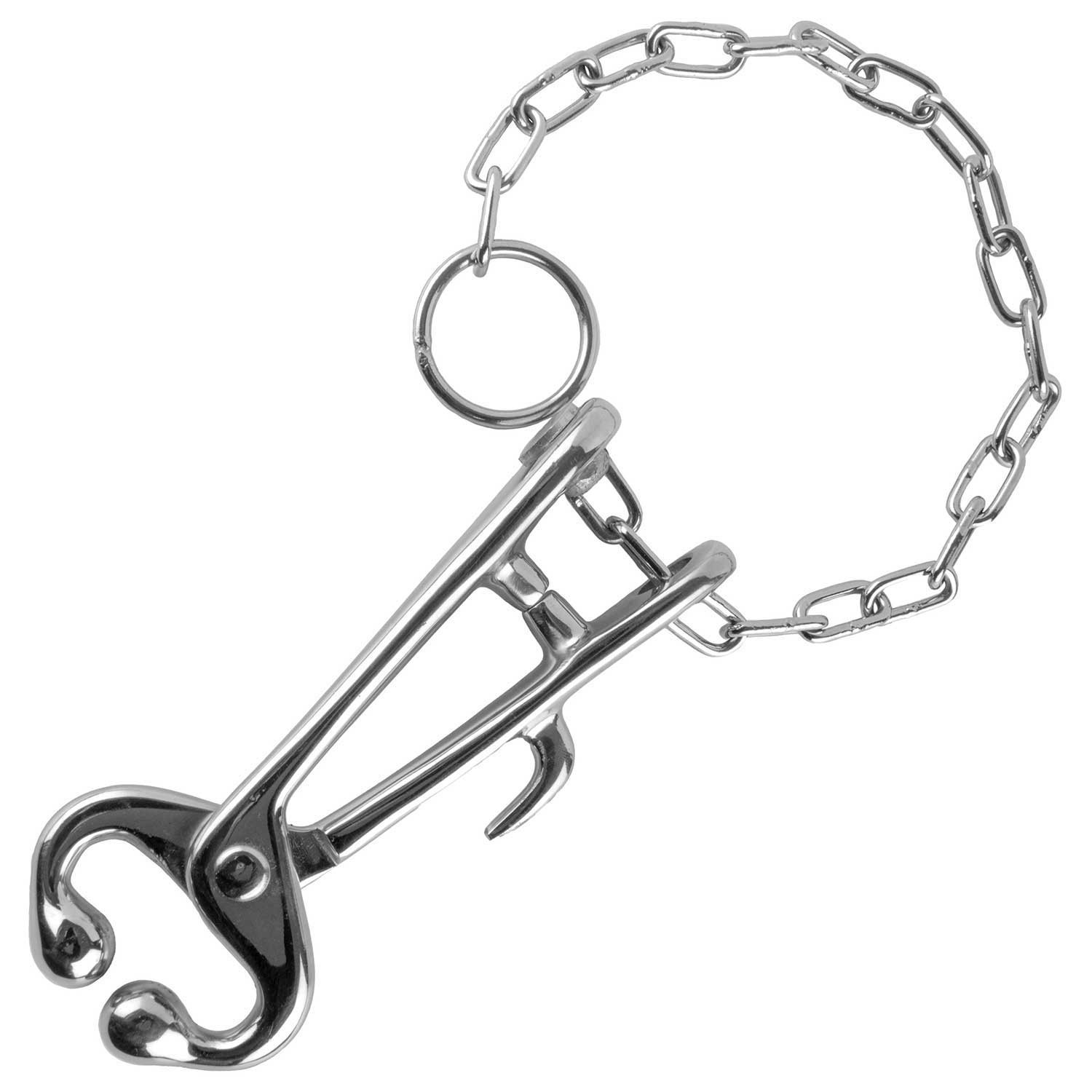 Jeffers Livestock Bull Nose Lead with Chain – Nickel Plated Iron Cow Nose