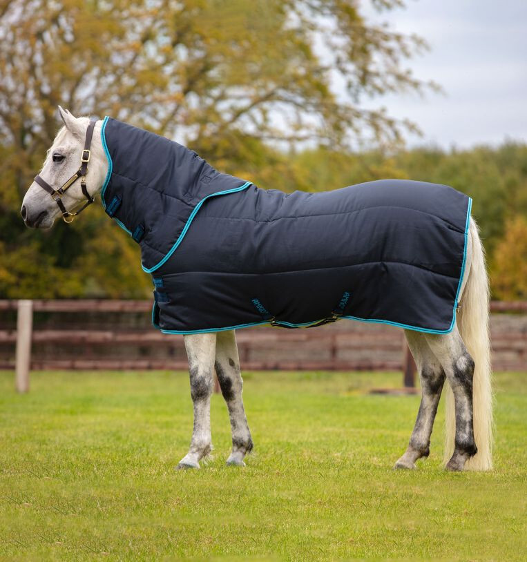 Amigo Insulator Plus Medium - Pony - Navy/Electric Blue