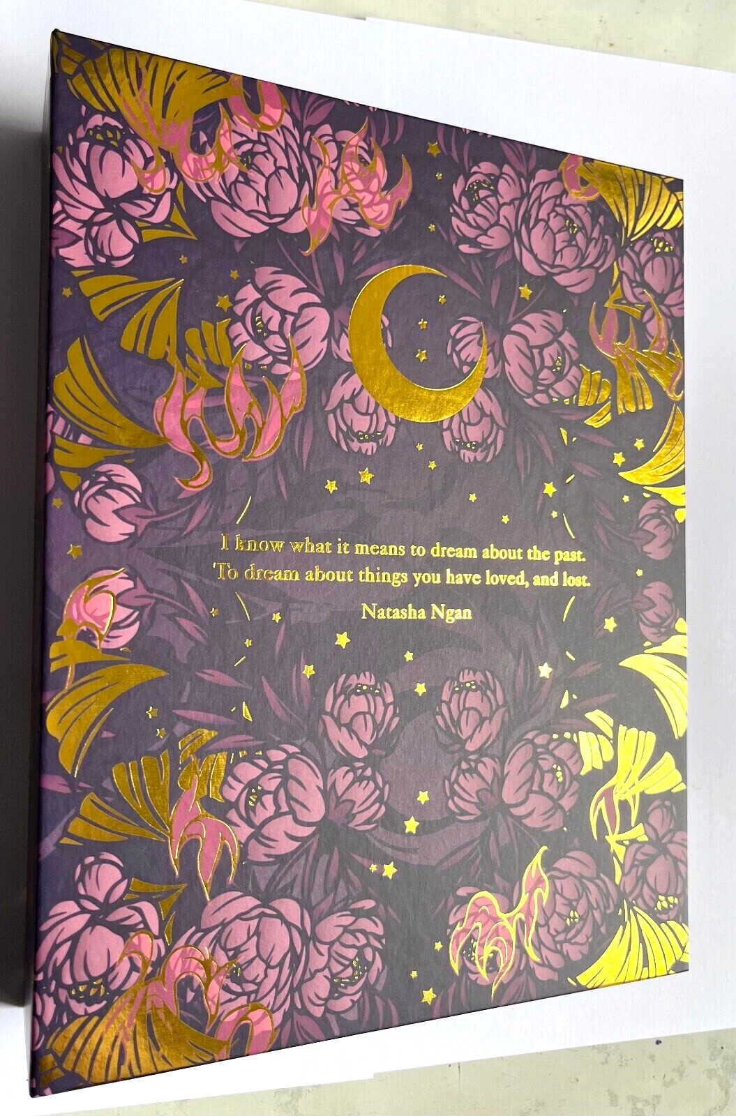 Print/ Photo Album Girls of Paper and Fire Natasha Ngan Illumicrate Storm Shadow