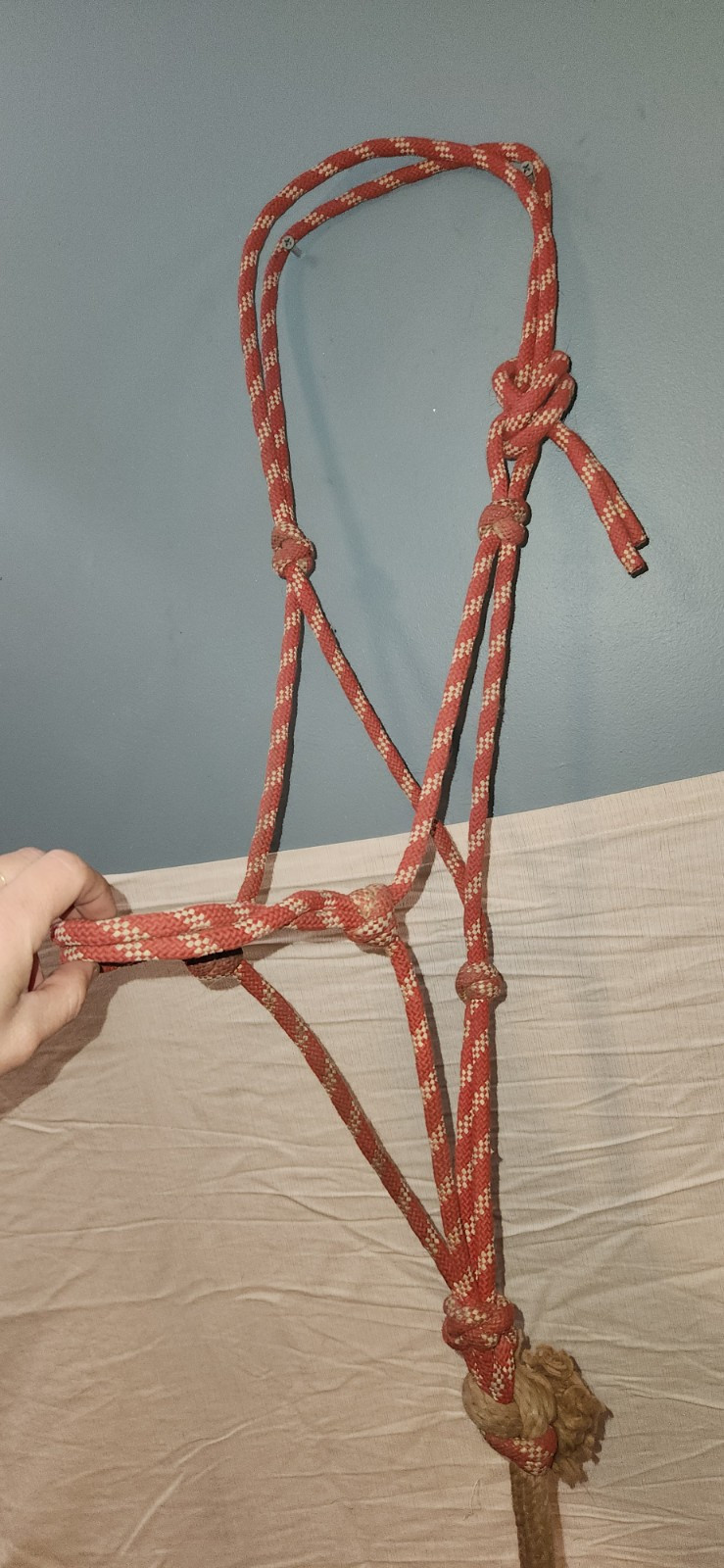 Handmade Natural Training 4 Knot Rope Halter & 8' 5/8" Lead HORSE Sz AHE 400 RED