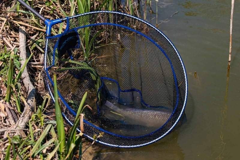 Sonik Sports SKSC Commercial Landing Net 15 inch with 3 m 3 pc  zwim tele handle