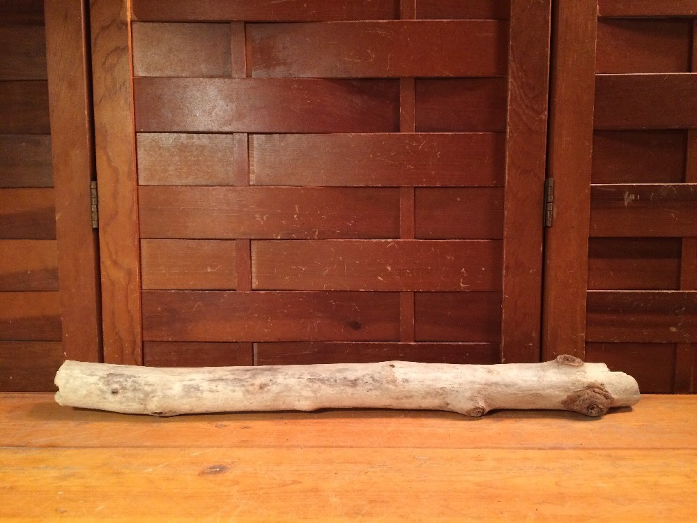 Beautiful 19" DRIFTWOOD Piece Art Terrarium Taxidermy Aquarium Beach Wood DECOR