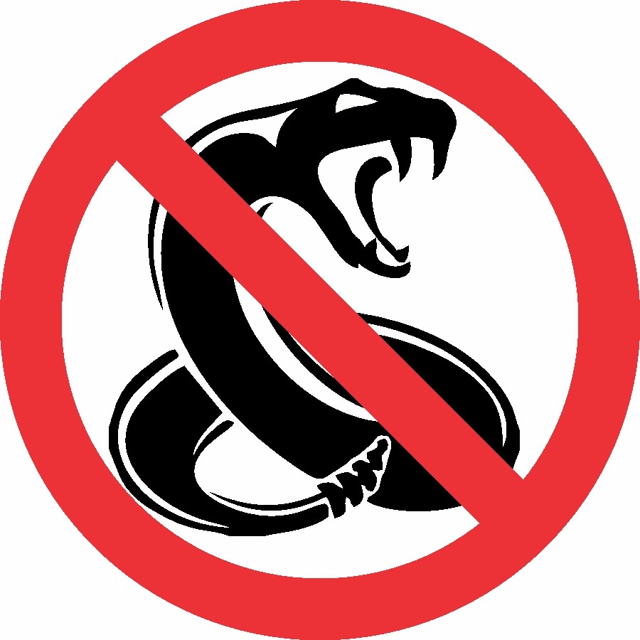 TRUMP NO SNAKES BORDER WALL ILLEGAL IMMIGRATION ANTI DEMOCRAT MAGA DECAL