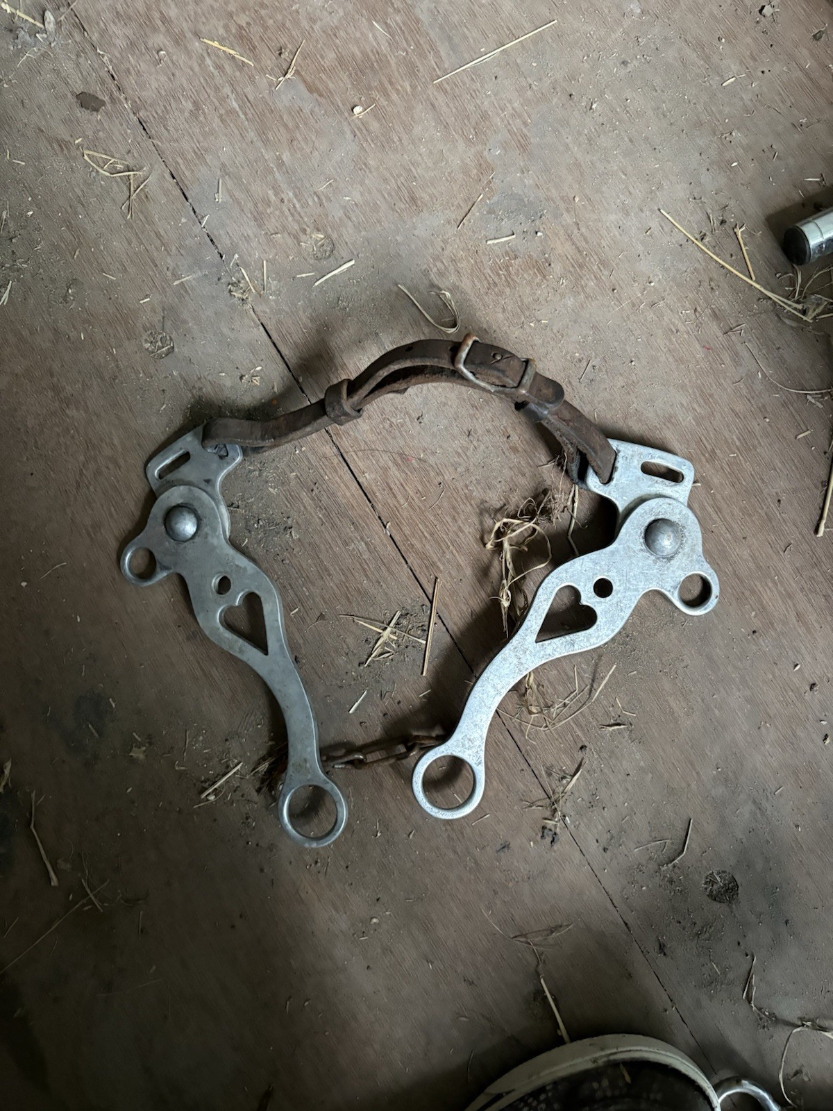 Hackamore Set Up