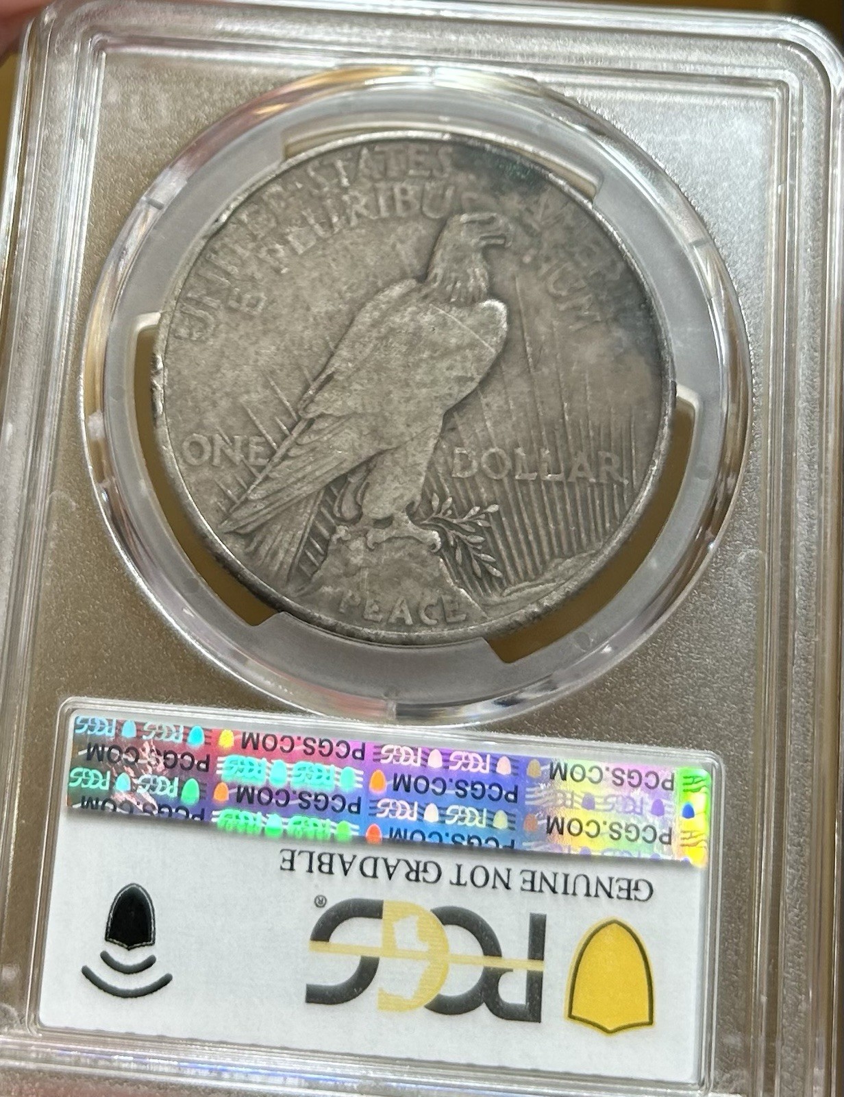 1921 Peace Silver Dollar High Relief PCGS VF Detail