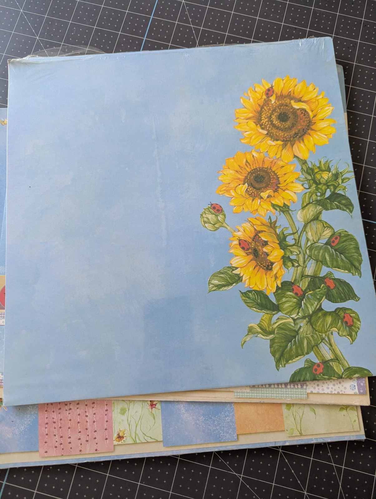 Miss Elizabeth's 4pc Paper Packs Bundle