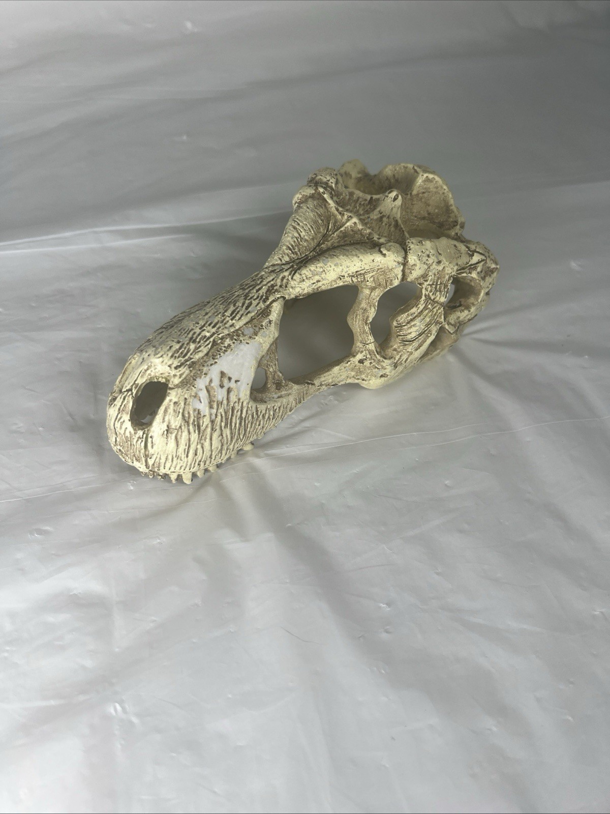 Reptile Terrarium Realistic T-Rex Skull Ornament Decor Dry Habitat Decor Large