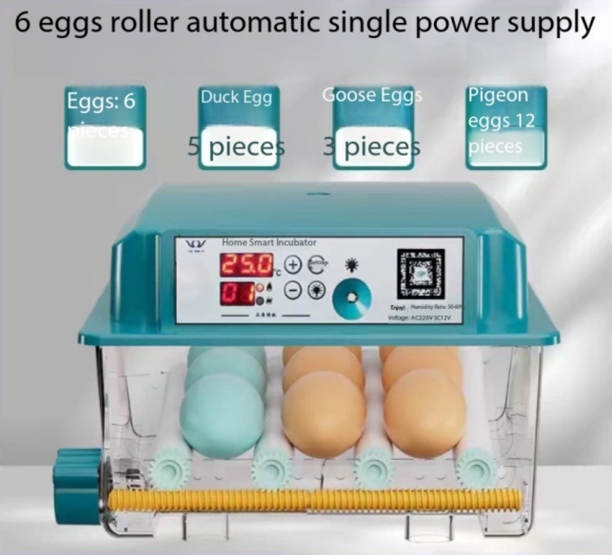 Incubator: Compact, Home-Use, Fully Automatic Smart Egg Incubator