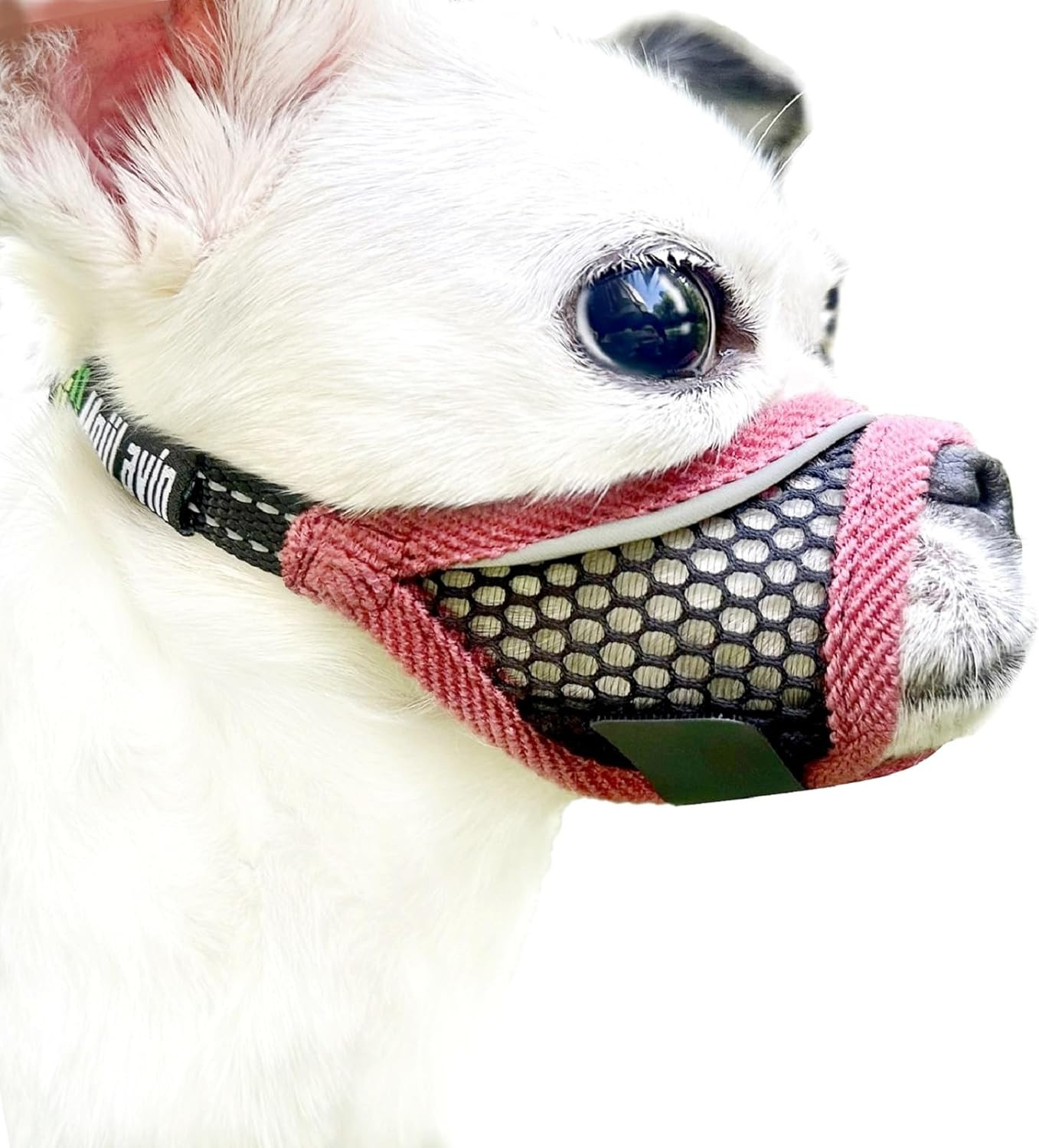 Dog Muzzle, Soft Mesh Muzzles for Small Dogs, Chihuahua Shih Tzu Yorkie Pom, Sho