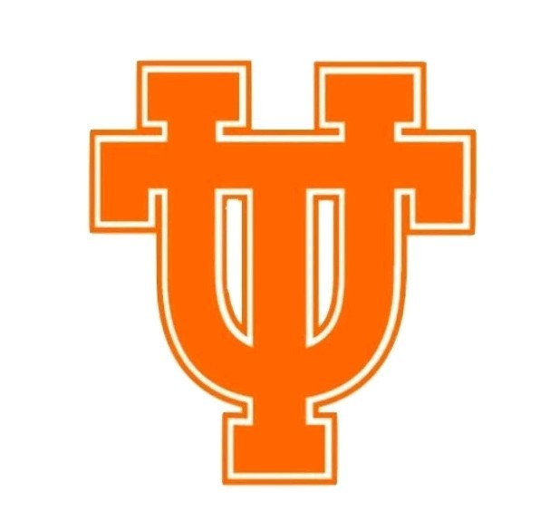 Tennessee Volunteers Car Magnet Vols NCAA Football Die Cut Laminated