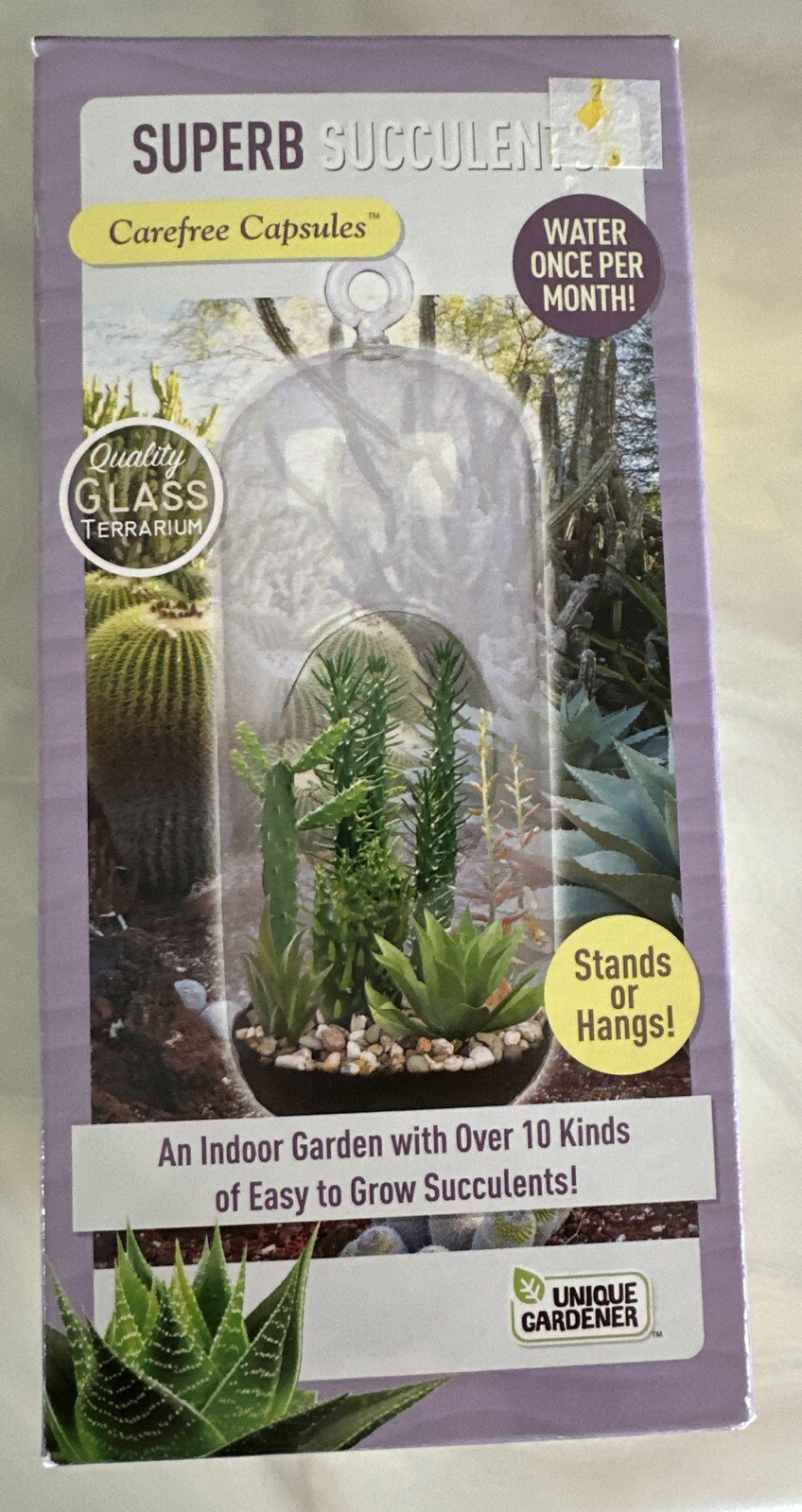 Succulent Capsule Indoor Garden Grow Unique Gardener Terrarium Agave Yucca Palm