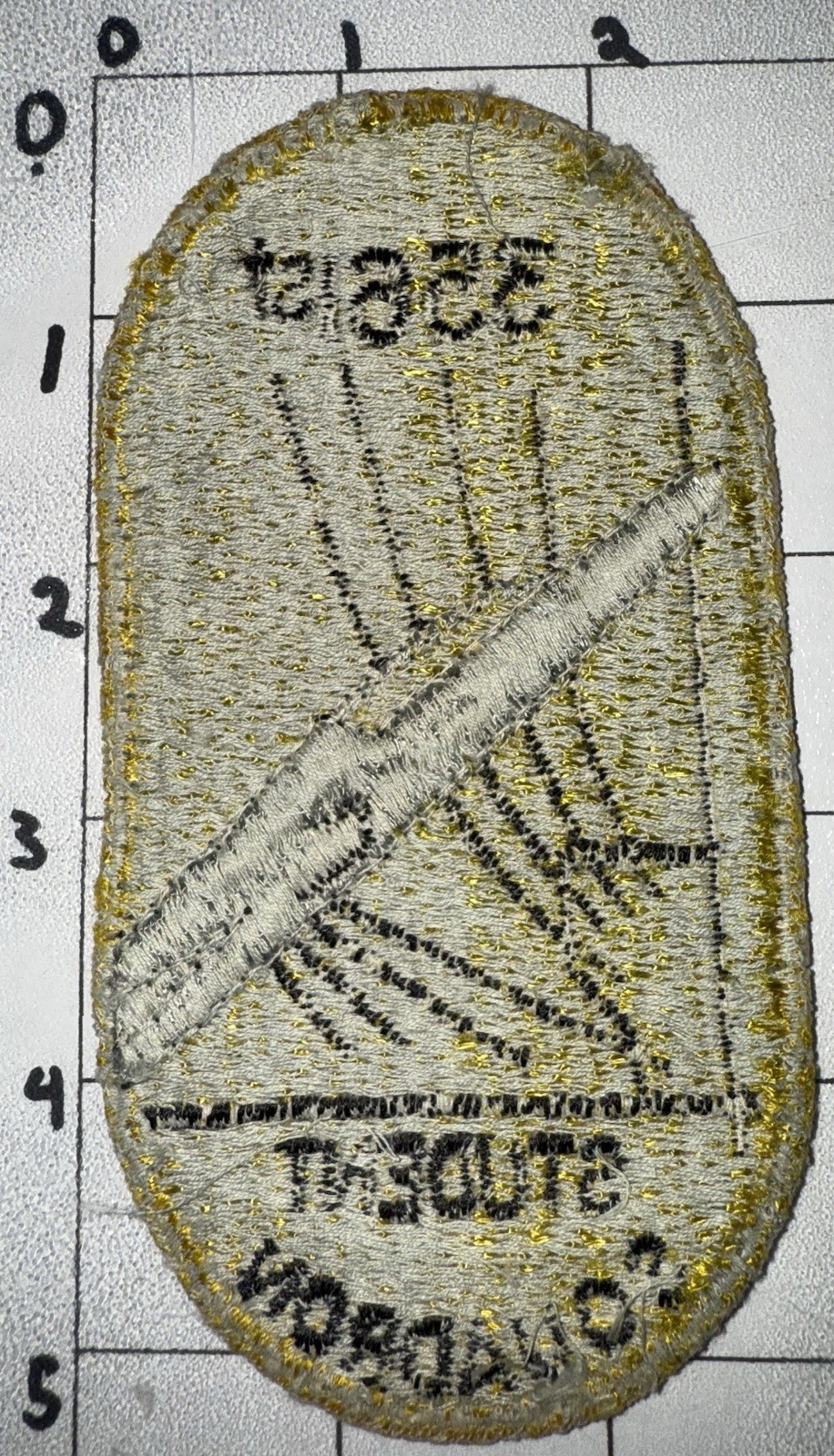 Vietnam War USAF 3561st Student Squadron Webb AFB Variant Patch (16)