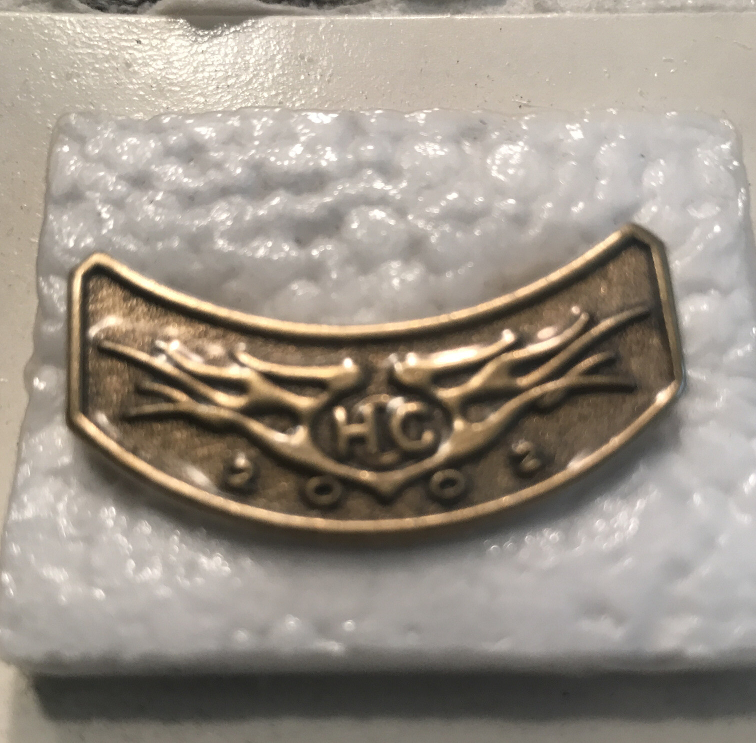 Harley Davidson HOG Harley Owners Group 2002 Pin New