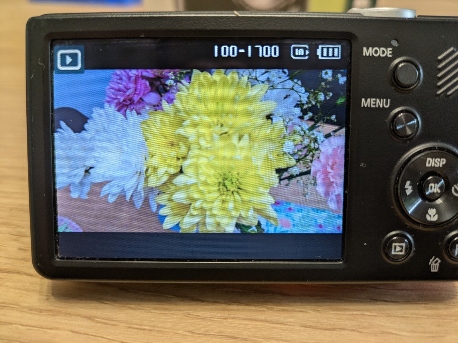 Samsung Digital Camera PL221 16.0MP Red Tested - Boxed with Charging Cable, Case
