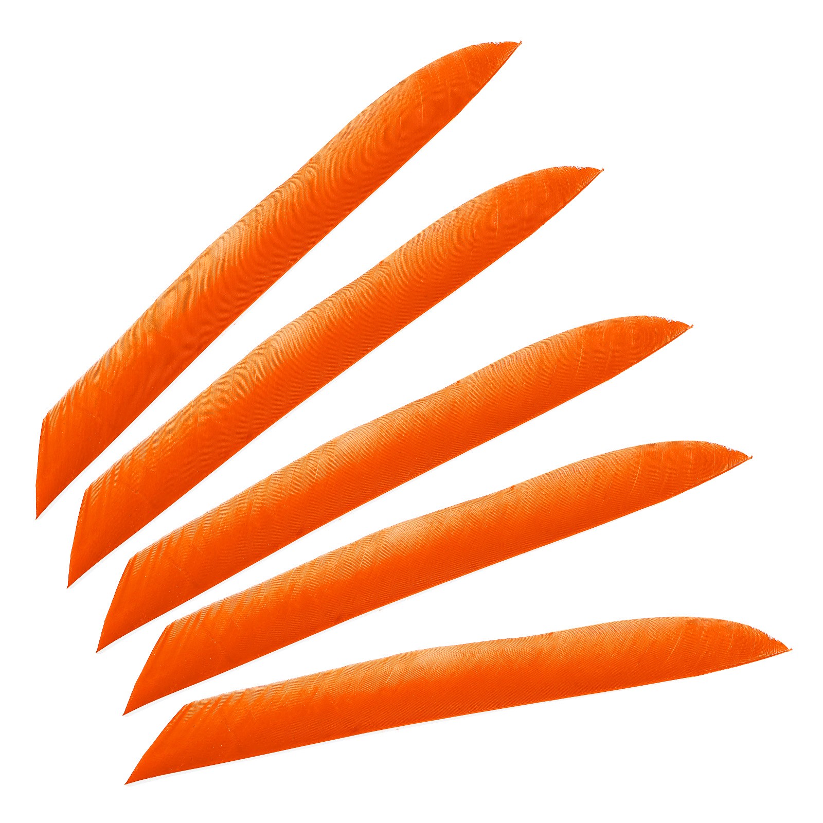 50pcs Arrows Vanes 11 Inch Turkey Feather Arrow Fletching Left Wing, Orange