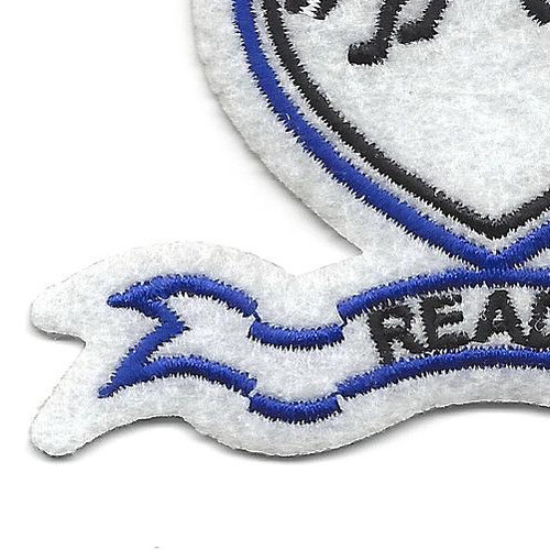505th Airborne Infantry Regiment Patch Ready