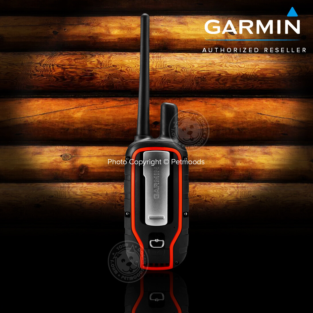 Garmin Alpha 100 / TT15X Dog Device GPS Collar Bundle