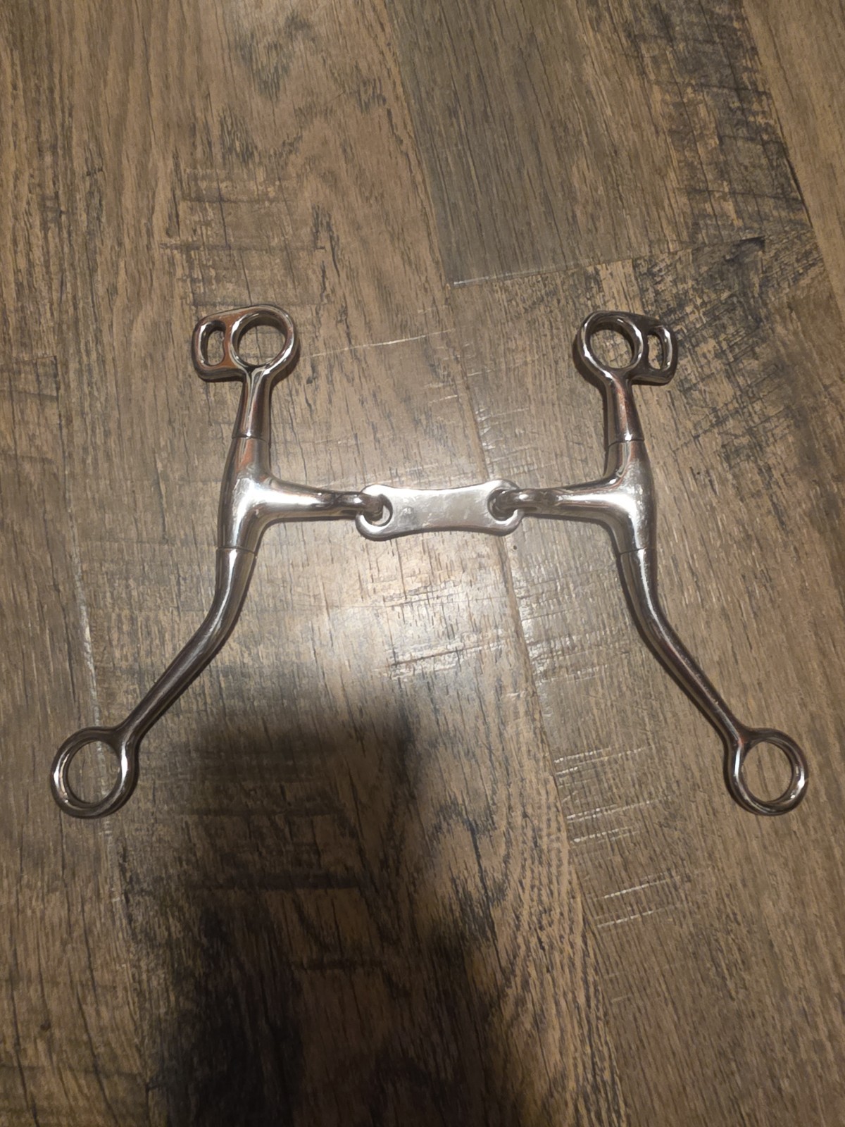 Horse Bit 5"
