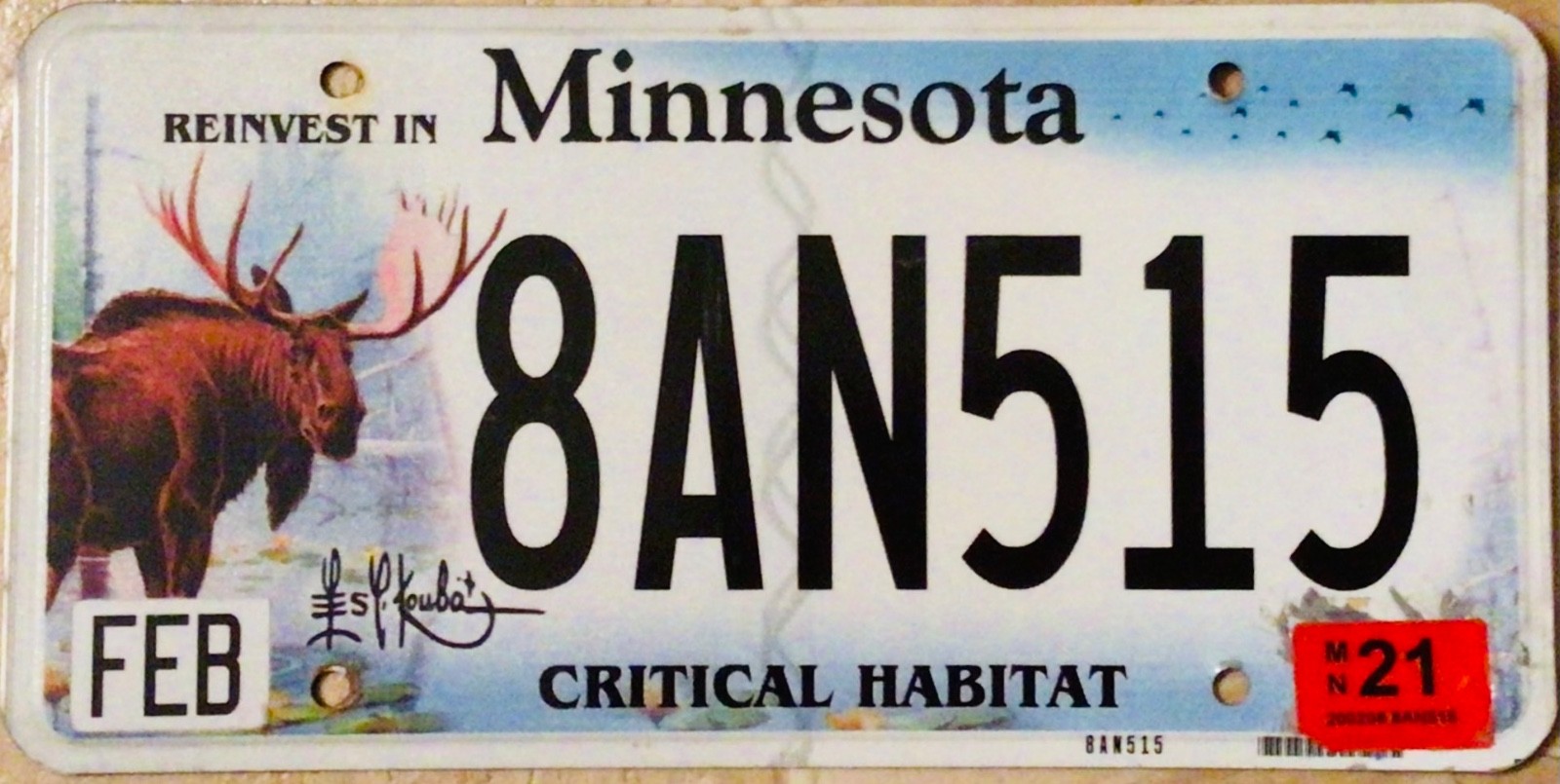 Minnesota license plate - CRITICAL HABITAT GRAPHIC Moose wildlife nature
