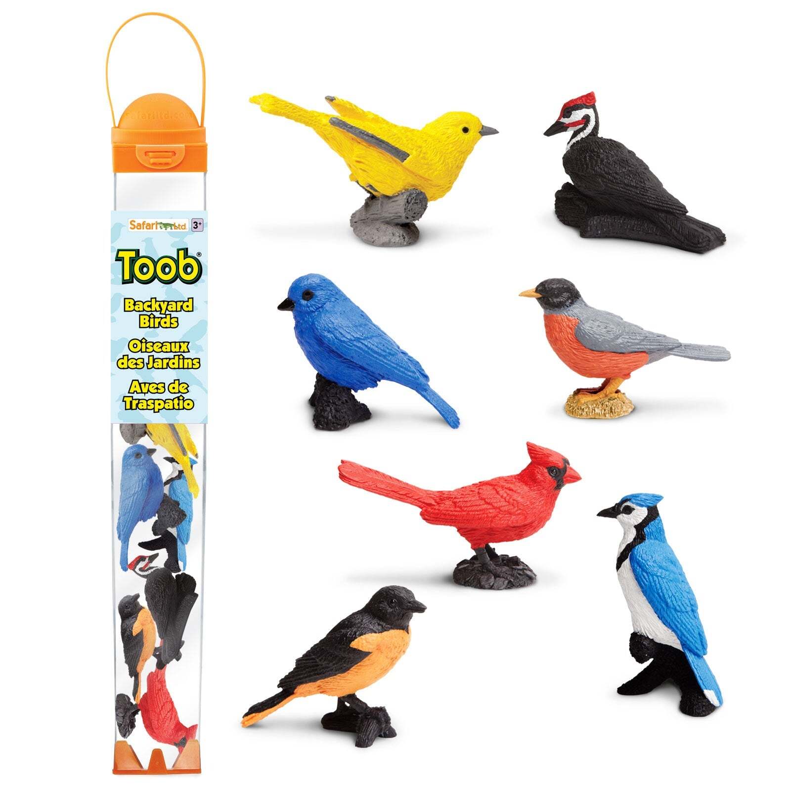 Safari Ltd Backyard Birds Toys TOOB® Miniature Toy Figurine Set for Kids