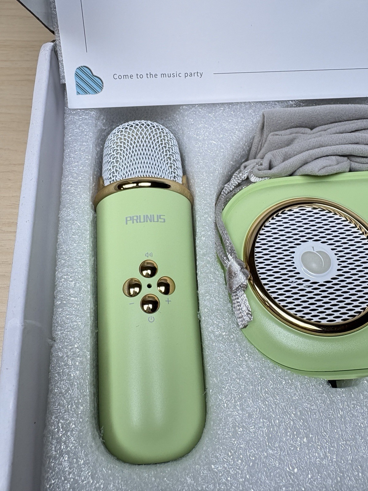 PRUNUS C20 Mini Karaoke Machine Portable Bluetooth Speaker