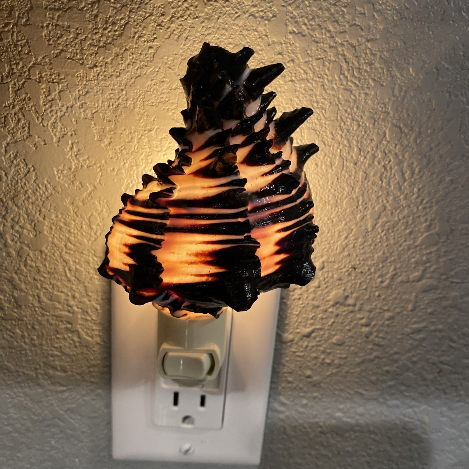 Seashell nightlight