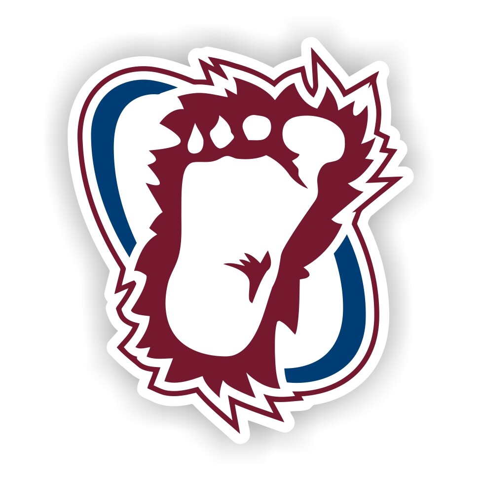 Colorado Avalanche  Precision Cut Decal / Sticker
