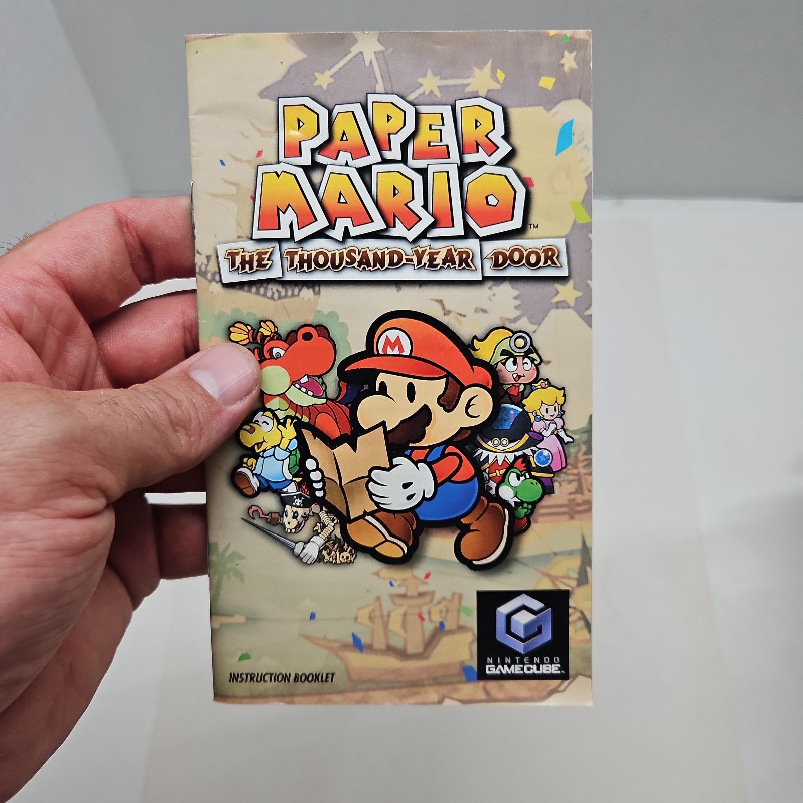 Paper Mario The Thousand Year Door (Nintendo Gamecube) MANUAL ONLY